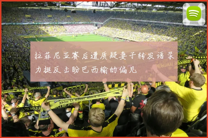 拉菲尼亚赛后遭质疑妻子转发语录力挺反击盼巴西输的偏见