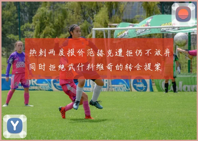 热刺两度报价范赫克遭拒仍不放弃同时拒绝武什科维奇的转会提案